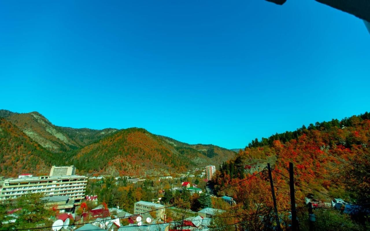 Отель Hotel Caucasus Borjomi Боржоми